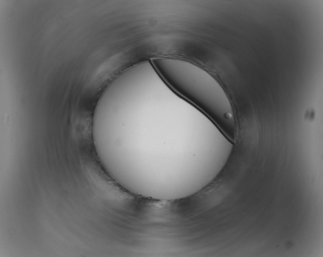 X0000112150092200909041113