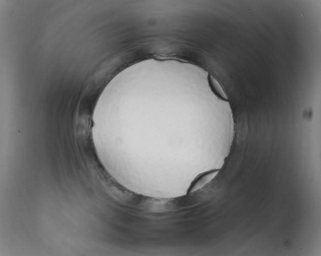 X0000112150093200909041113