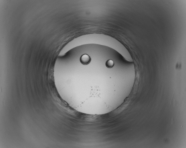 X0000112150096200909041113