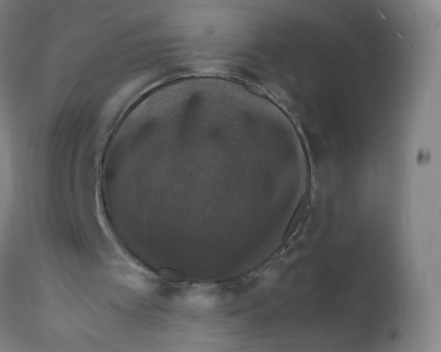 X0000112150097200909041113