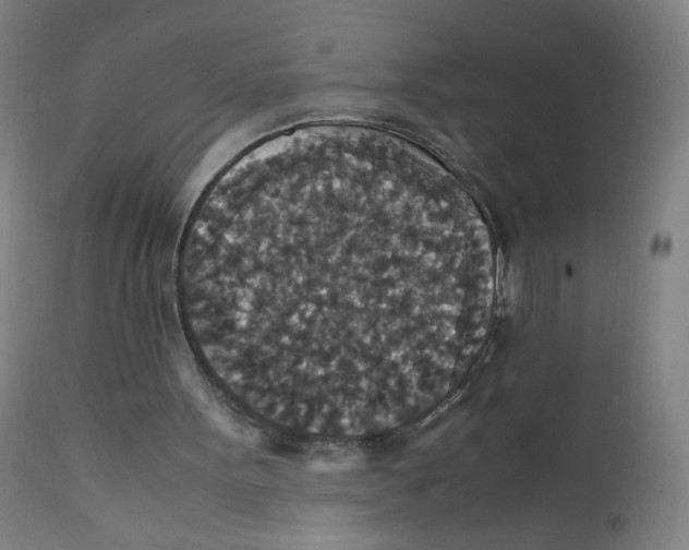 X0000112150099200909041113