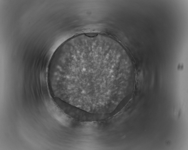 X0000112150100200909041113