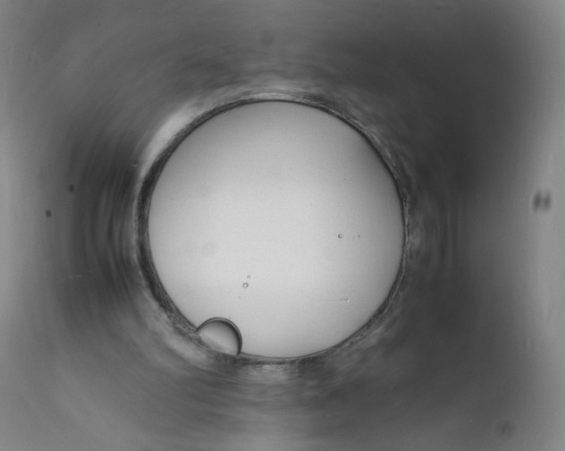 X0000112150102200909041113