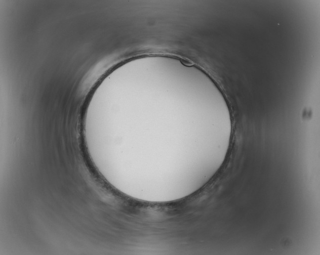 X0000112150103200909041113