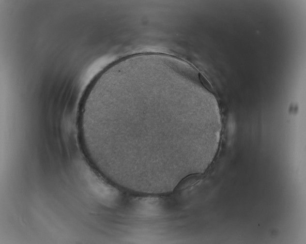 X0000112150104200909041113