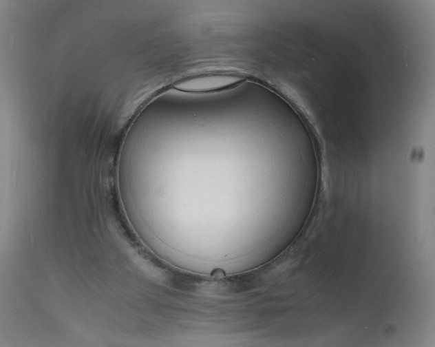 X0000112150105200909041113