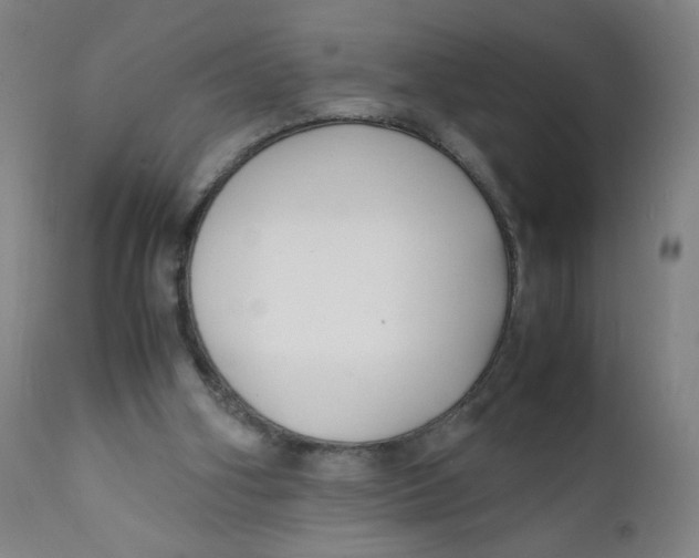 X0000112150106200909041113