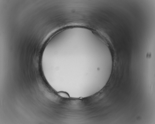 X0000112150108200909041112