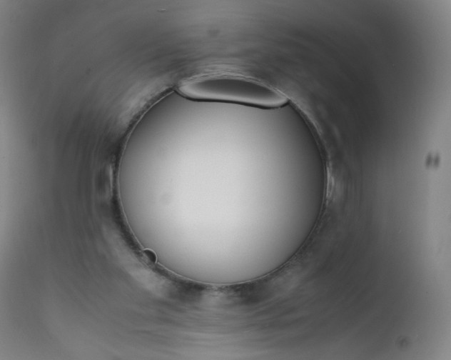 X0000112150109200909041112