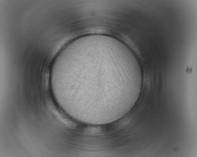 X0000112150110200909041112