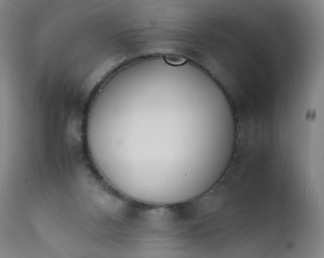 X0000112150112200909041112