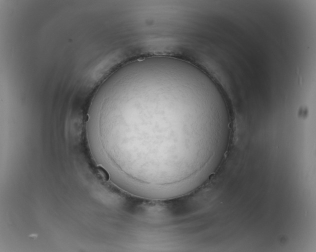 X0000112150113200909041112