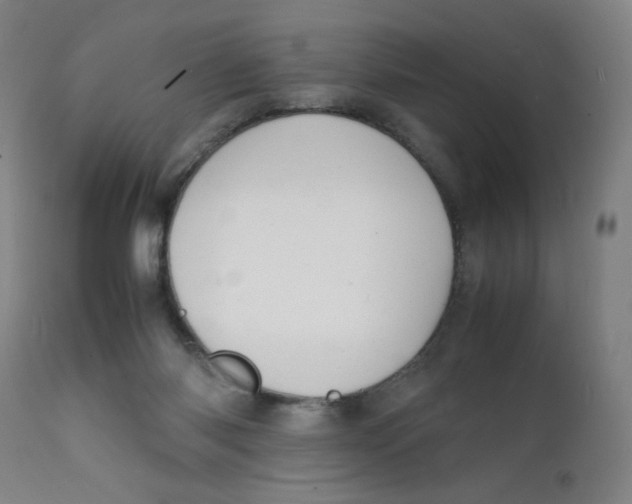 X0000112150118200909041112