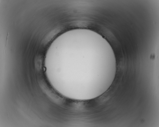 X0000112150120200909041112