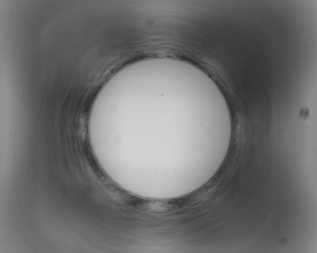 X0000112150121200909041112