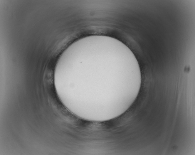 X0000112150123200909041112