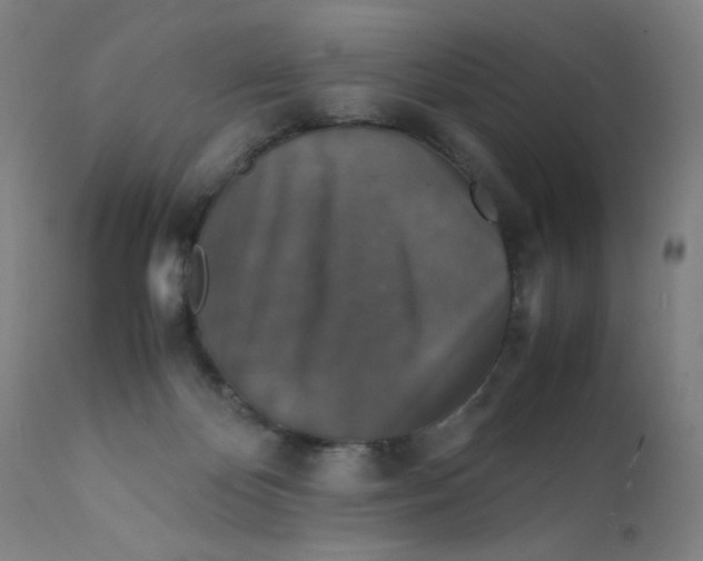 X0000112150124200909041112