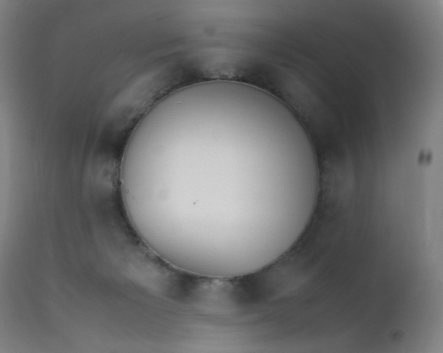 X0000112150125200909041112