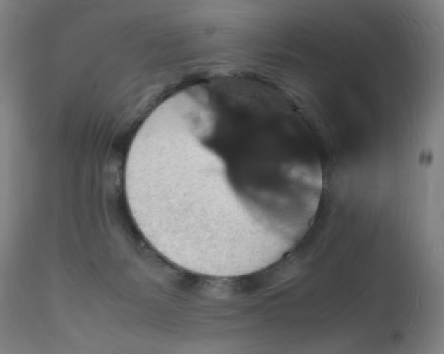 X0000112150127200909041112