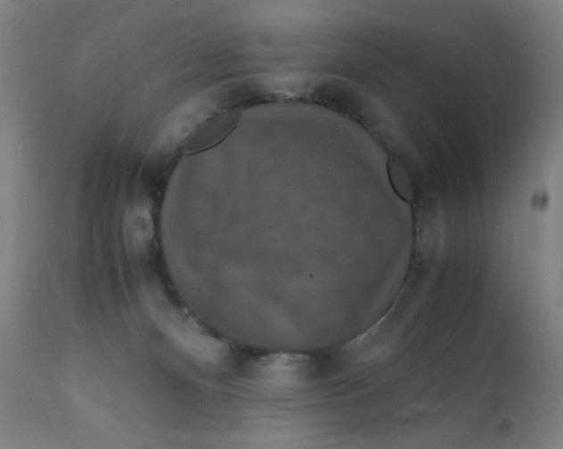 X0000112150128200909041112