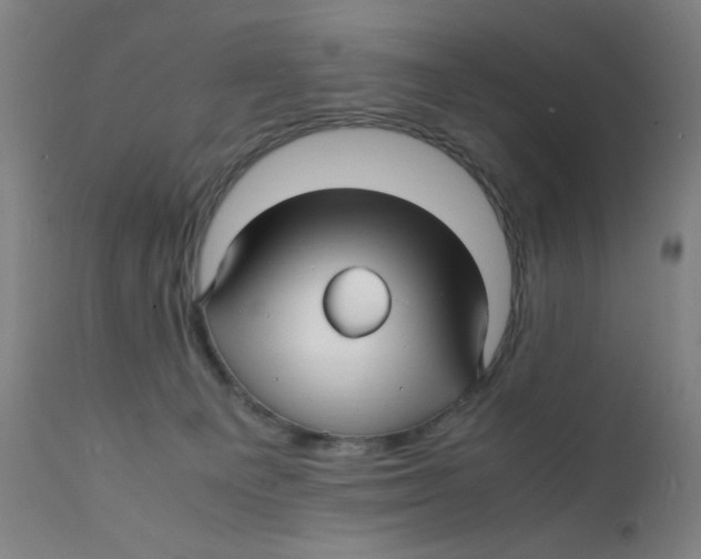 X0000112150129200909041112