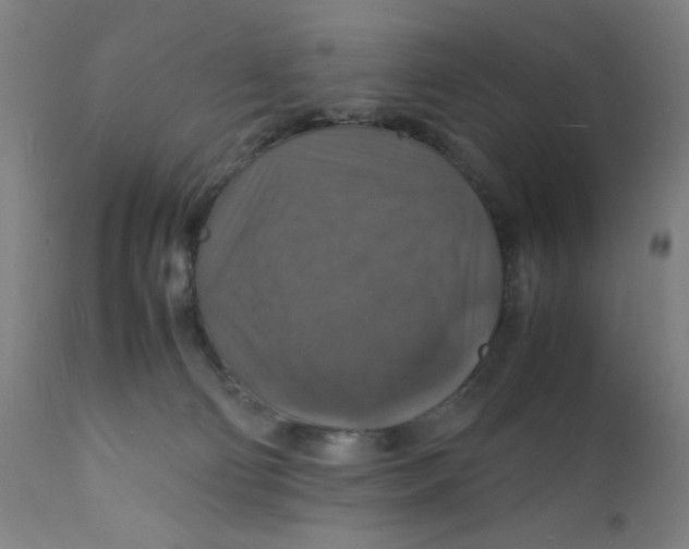 X0000112150130200909041112