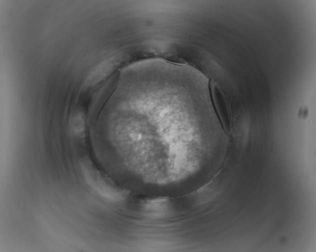 X0000112150132200909041112