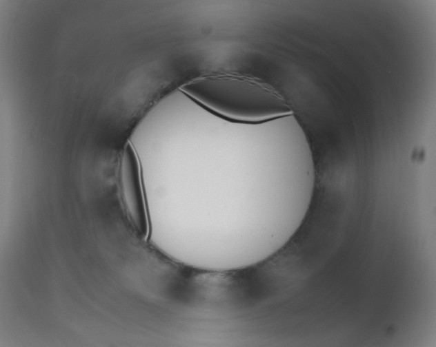 X0000112150133200909041112