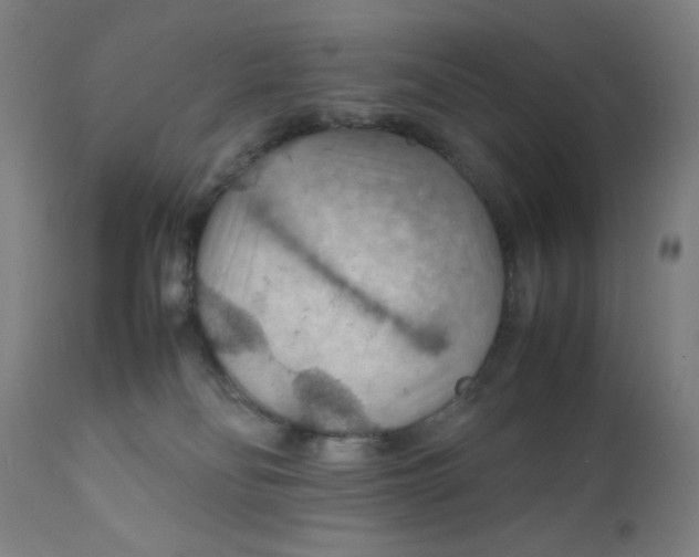 X0000112150134200909041112