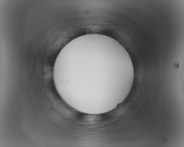 X0000112150135200909041112