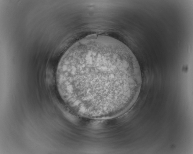 X0000112150136200909041112