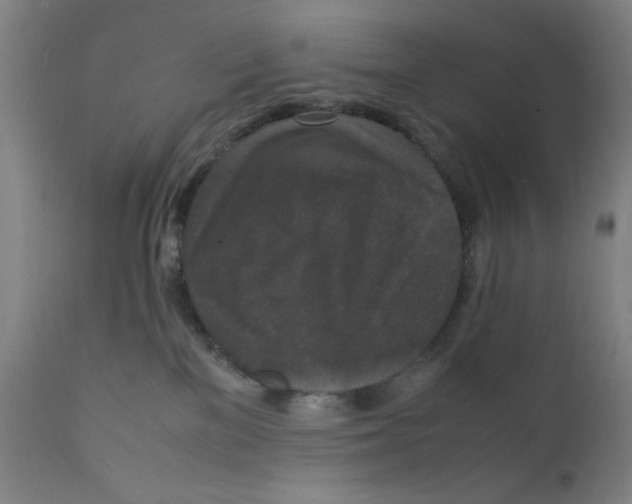 X0000112150137200909041112