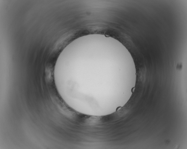 X0000112150138200909041112