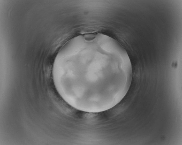 X0000112150139200909041112