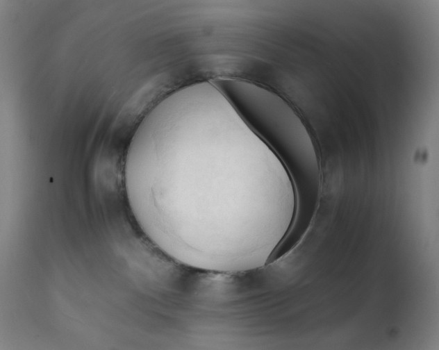 X0000112150140200909041112