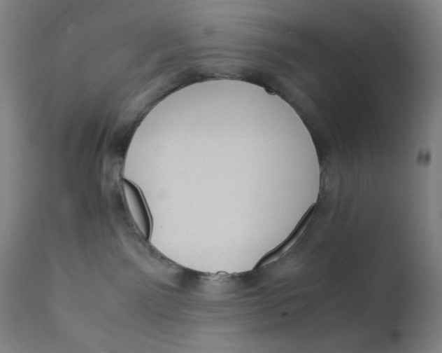 X0000112150141200909041112