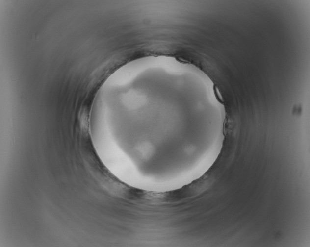 X0000112150143200909041112