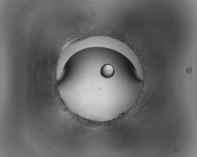 X0000112150144200909041112