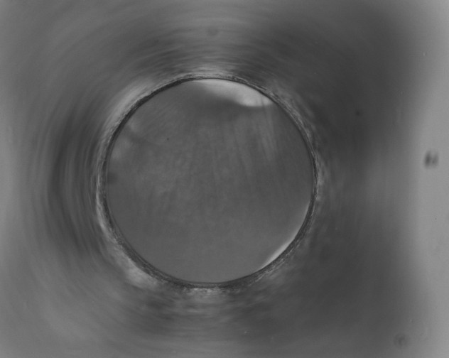 X0000112150145200909041111