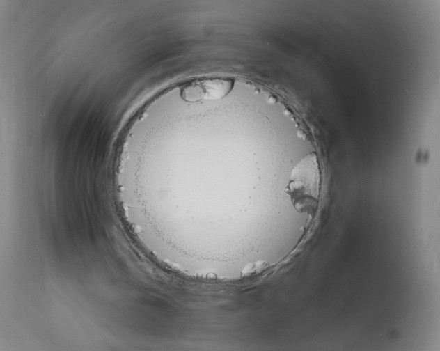 X0000112150146200909041111