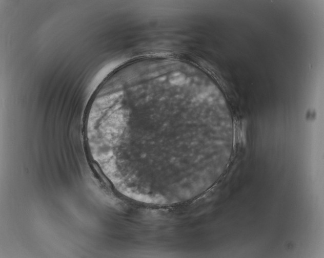 X0000112150147200909041111