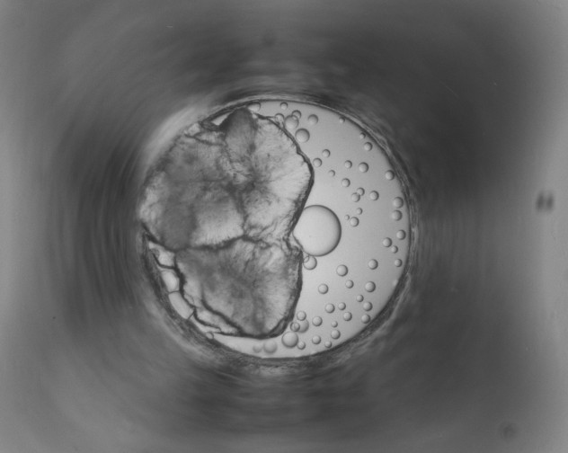 X0000112150149200909041111