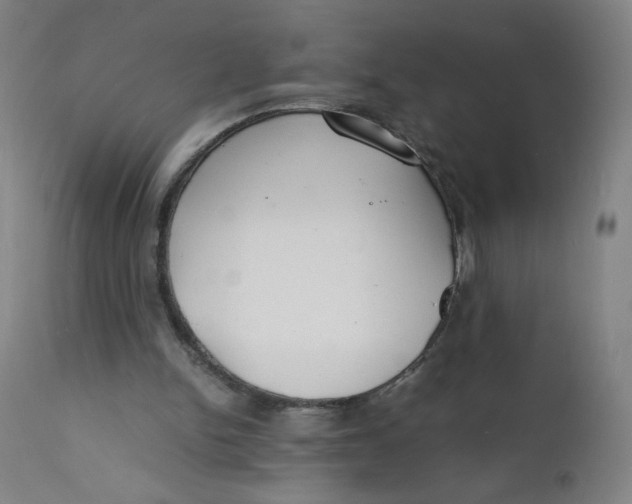 X0000112150150200909041111