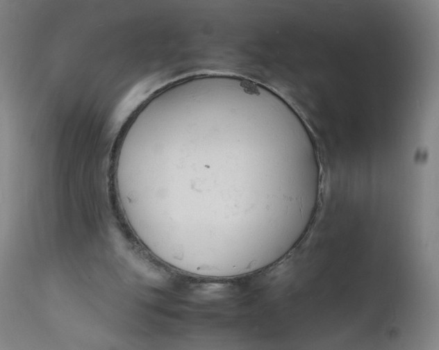 X0000112150151200909041111