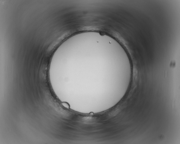 X0000112150153200909041111