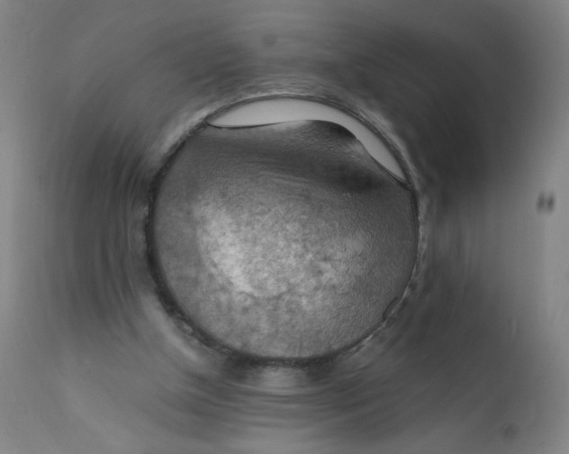 X0000112150154200909041111