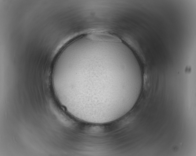 X0000112150156200909041111