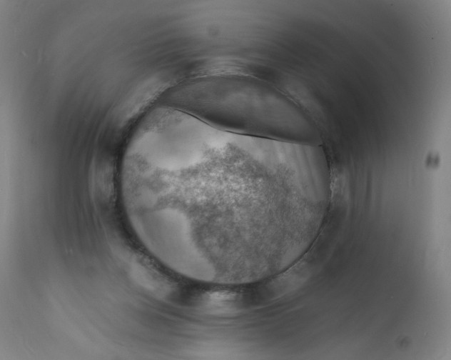 X0000112150158200909041112