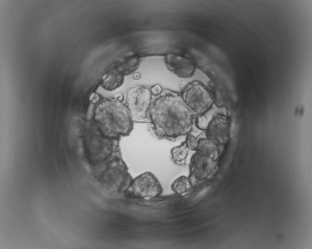 X0000112150161200909041112