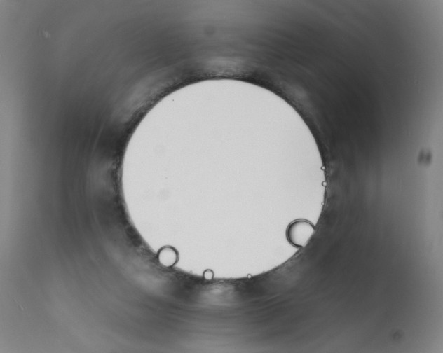 X0000112150162200909041112